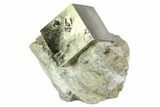 Pyrite Cube In Rock - Navajun, Spain #105399-1